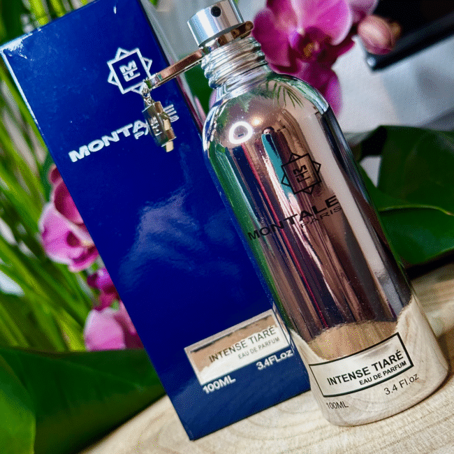 582332346_1156472789483705_4978418951011209695_n