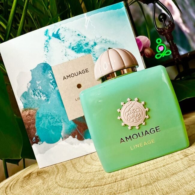 585049516_828966039738231_868853682946871468_n